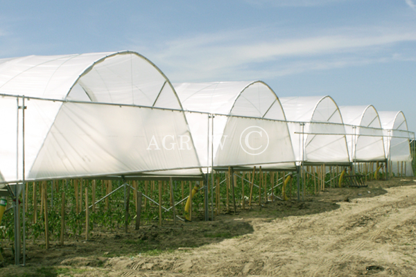 Serre tunnel poly