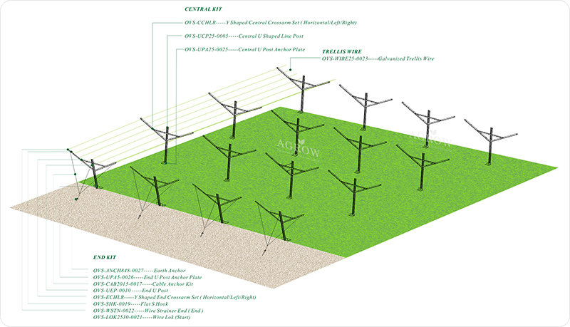 Syst&egrave;me de treillis &agrave; pignon ouverts pour vignobles -AGROW-AGTEK.jpg
