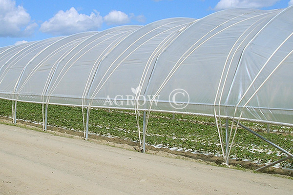 Poly Tunnel à une baie