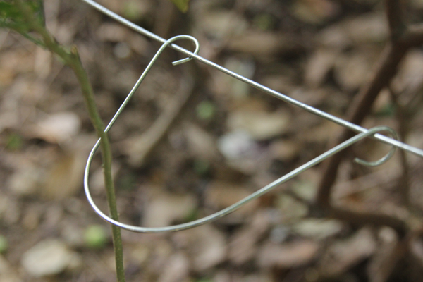 Clip pour Vertical Line Post.jpg