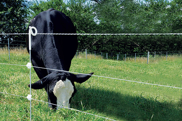 cl&ocirc;ture en queue de cochon post.jpg